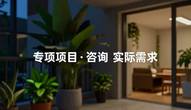 项目咨询中阶段反馈的实际需求与选型关注点分析